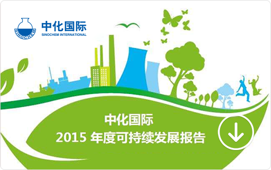 2015可持续发展报告